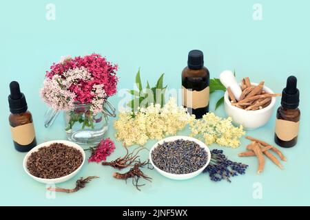 Kräuterblüten Heilmittel Pflanzenmedizin Vorbereitung für die naturheilkundliche Heilung mit Baldrianwurzel, Lavendel, Holunderblüte und Ashwagandha. Für natürliche Altern Stockfoto