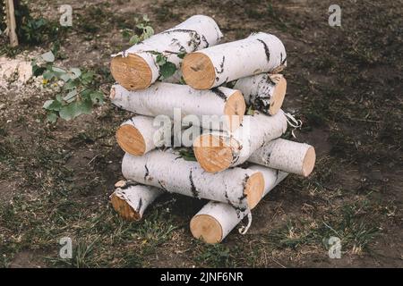 Dicke Birkenstämme aus der Nähe. Holzernte im Sägewerk. Ein Haufen Birkenholz liegt auf dem Gras. Brennholz zum Heizen des Hauses schneiden. Stockfoto