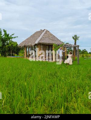 Paar Männer und Frauen im Urlaub in einer Gastfamilie in Thailand, Öko-Farm mit grünem Reisfeld während der Monsunsaison in Thailand Stockfoto