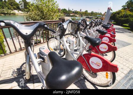 Sevilla, Spanien - 27. August 2019: Eine Reihe von Sevici-Fahrrädern, die in Bahnhöfen im Zentrum von Sevilla, Spanien, geparkt sind Stockfoto