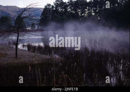 Ein Teich im Kamberg-Tal in den südafrikanischen Drakensberg-Bergen, der bei einem Wintersonnenaufgang überhallte Stockfoto