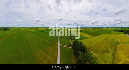 Reisfeld in Zentralthailand, Reisfeld während der Regenmonsun-Saison in Thailand. Grünes Reisfeld Stockfoto