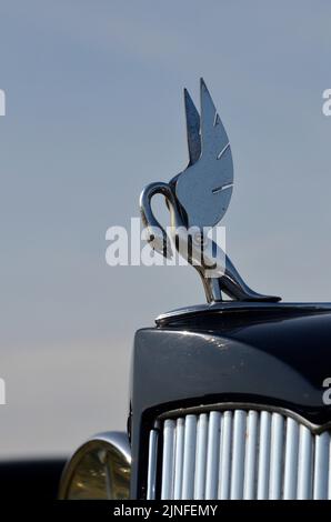 Maskottchen auf Motorhaube des amerikanischen Packard Super Eight Oldtimers Stockfoto