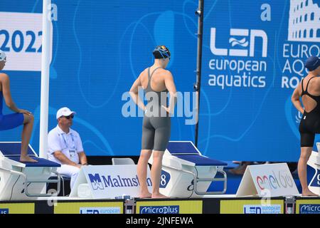 Rom, Italien. 11. August 2022. Schwimmer bereiten sich auf die Europameisterschaften im Schwimmen in Rom, Italien, am Donnerstag, den 11. August 2022, vor. Die Schwimmeuropameisterschaften 2022 finden vom 11. Bis 21. August statt. BELGA FOTO NIKOLA KRSTIC Kredit: Belga Nachrichtenagentur/Alamy Live News Stockfoto