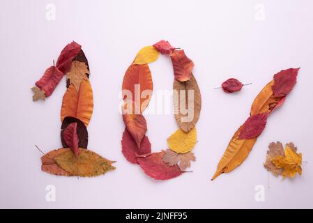Papier geschnitten 10 Prozent aus Text gefüllt mit Textur der gelben und roten Herbst Ahornblätter isoliert auf weißem Hintergrund. Herbstflyer, Banner oder Pos. Stockfoto