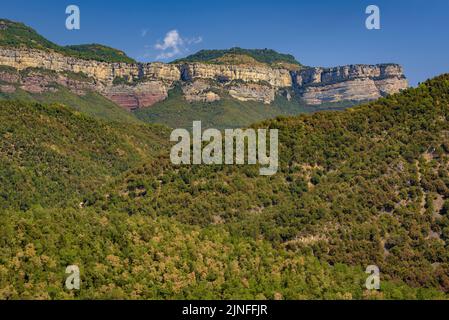 Klippen von Tavertet, in der Region Collsacabra, vom Stausee Susqueda aus gesehen (La Selva, Girona, Katalonien, Spanien) ESP: Acantilados de Tavertet Stockfoto