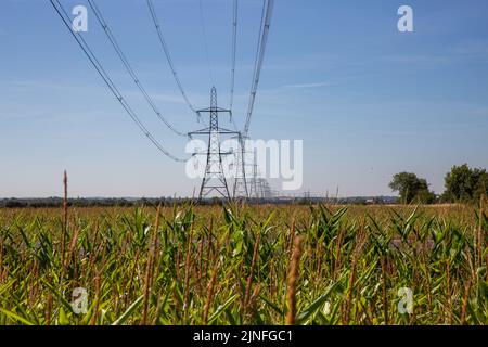 Generisches Bild vom August 10. zeigt Strommasten in Cambridgeshire, während die Stromkrise anzieht, fast ein Viertel der Haushalte bereits £206 mit weiteren Preissteigerungen im Herbst. Stockfoto