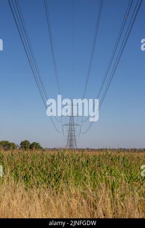 Generisches Bild vom August 10. zeigt Strommasten in Cambridgeshire, während die Stromkrise anzieht, fast ein Viertel der Haushalte bereits £206 mit weiteren Preissteigerungen im Herbst. Stockfoto