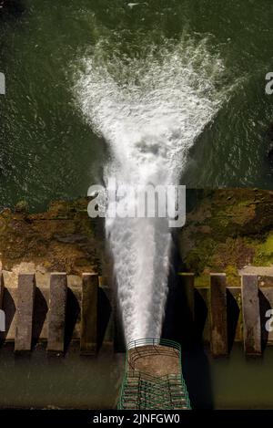 Staudamm des Stausees Sau am Fluss Ter, während der Sommertrockenheit von 2022 (Osona, Barcelona, Katalonien, Spanien) ESP: Represa del embalse de Sau Stockfoto