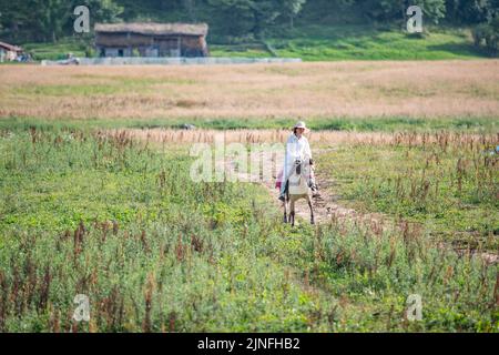 (220811) -- CHONGQING, 11. August 2022 (Xinhua) -- Ein Tourist reitet auf einem Pferd in der landschaftlich reizvollen Gegend von Hongchiba im Bezirk Wuxi im südwestlichen chinesischen Chongqing, 10. August 2022. Aufgrund der reichen natürlichen Ressourcen und der malerischen Landschaft hat Wuxi County seine Anstrengungen zur Förderung des lokalen Tourismus ausgeweitet. (Xinhua/Huang Wei) Stockfoto