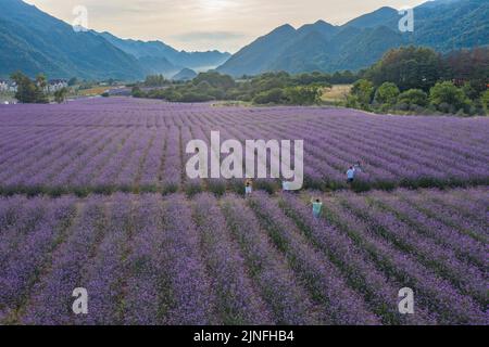 (220811) -- CHONGQING, 11. August 2022 (Xinhua) -- auf diesem Luftfoto haben Touristen Spaß in der landschaftlich schönen Gegend von Hongchiba im Bezirk Wuxi im südwestlichen chinesischen Chongqing, 10. August 2022. Aufgrund der reichen natürlichen Ressourcen und der malerischen Landschaft hat Wuxi County seine Anstrengungen zur Förderung des lokalen Tourismus ausgeweitet. (Xinhua/Huang Wei) Stockfoto