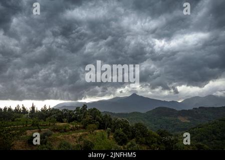 Sturmwolken über dem Berg Montseny, von Sant Hilari Sacalm aus gesehen (La Selva, Girona, Katalonien, Spanien) ESP: Nubes de tormenta sobre la monta Stockfoto