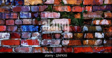 Bunte alte Ziegelsteine an der Wand, die auseinander fällt Textur strukturiertes Moos wächst in Risse zersplitterte Mörtel Stockfoto