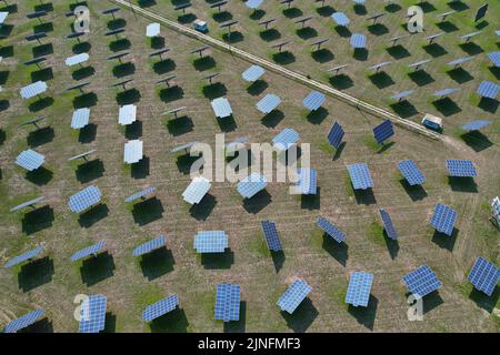 Silizium-Photovoltaikmodule mit defektem einachsigen Schrägspursystem in einem kleinen Solarkraftwerk. Alessandria, Italien - August 2022 Stockfoto