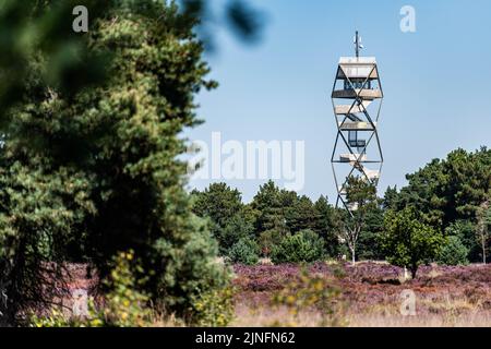 Kalmthout, Belgien. 11. August 2022. Die Abbildung zeigt einen Feuerwachturm im Naturschutzgebiet Kalmthoutse Heide in Kalmthout am Donnerstag, 11. August 2022. BELGA FOTO JONAS ROOSENS Kredit: Belga Nachrichtenagentur/Alamy Live News Stockfoto