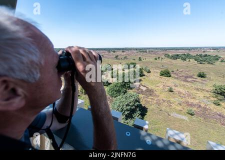 Kalmthout, Belgien. 11. August 2022. Am Donnerstag, den 11. August 2022, wacht ein Freiwilliger auf der Spitze eines Wachturms im Naturschutzgebiet Kalmthoutse Heide in Kalmthout auf Brandzeichen. BELGA FOTO JONAS ROOSENS Kredit: Belga Nachrichtenagentur/Alamy Live News Stockfoto