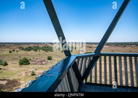 Kalmthout, Belgien. 11. August 2022. Die Abbildung zeigt einen Blick vom Feuerwachturm auf das Naturschutzgebiet Kalmthoutse Heide in Kalmthout am Donnerstag, den 11. August 2022. BELGA FOTO JONAS ROOSENS Kredit: Belga Nachrichtenagentur/Alamy Live News Stockfoto