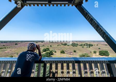 Kalmthout, Belgien. 11. August 2022. Am Donnerstag, den 11. August 2022, wacht ein Freiwilliger auf der Spitze eines Wachturms im Naturschutzgebiet Kalmthoutse Heide in Kalmthout auf Brandzeichen. BELGA FOTO JONAS ROOSENS Kredit: Belga Nachrichtenagentur/Alamy Live News Stockfoto