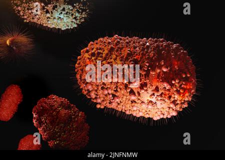 Monkeypox-Virus. Erregerviruszelle, Keim, Mikrobe unter dem Mikroskop. 3D Darstellung rendern. Stockfoto