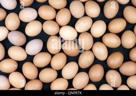 Mehrere frische Bio-Eier auf dunklem Hintergrund. Stockfoto