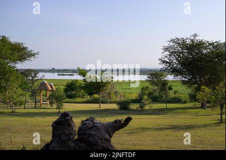 Murchinson Falls National Park (Uganda) an einem sonnigen Tag im Juni Stockfoto