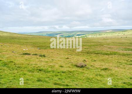 Blick auf die Landschaft im ländlichen Pembrokshire in der Nähe von Marloes, Wales Stockfoto