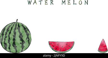 Wassermelone: Ganz, große Schnittgröße, kleine Schnittgröße Stock Vektor