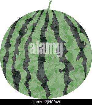Wassermelone: Ganz, transparent Aquarell Stil Stock Vektor