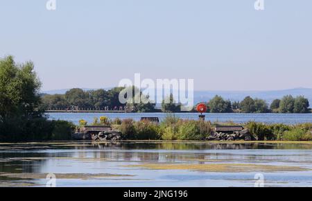 Oxford Island, Lough Neagh, County Armagh, Nordirland, Großbritannien. 11 August 2022. Das Wetter in Großbritannien; die Hitzewelle in Nordirland hält an. Mit Temperaturen von fast 30C Menschenmassen strömen Menschen nach Lough Neagh, dem größten Süßwassersee im Vereinigten Königreich. Der Blick von der Kinnego Marina, während sich junge Leute von einem Steg in der Ferne abkühlen. Kredit: CAZIMB/Alamy Live Nachrichten. Stockfoto