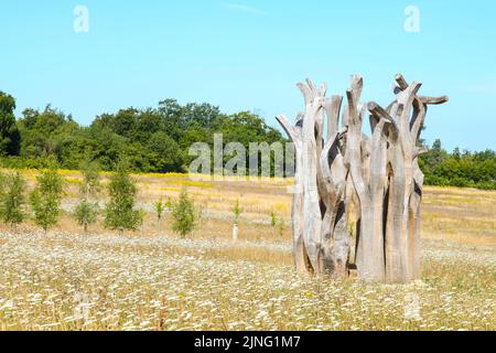 „Witness“-Baumskulptur von John Merrill, WW1 Gedenkstatue, Langley Vale Centenary Wood, Epsom, Surrey, England, UK, Juli 2022 Stockfoto