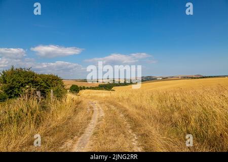 Ein Pfad entlang des Ackerlandes in den South Downs, an einem heißen Sommertag Stockfoto