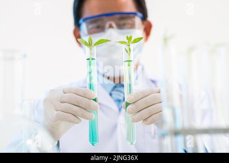 Talentierter Wissenschaftler mittleren Alters, der weißen Mantel und Schutzbrille trägt und gentechnisch veränderte Pflanzen testet, während er im modernen Labor arbeitet Stockfoto