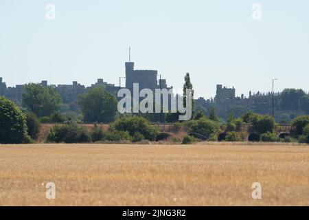 Eton, Windsor, Britannien. 11.. August 2022. Weizenstoppel auf einem Feld in Eton mit Blick auf Windsor Castle. Da der Boden immer trockener wird, ist das Risiko von Bränden in ganz England stark gestiegen. Die britische Gesundheitsbehörde hat heute bis Samstag eine Warnung zur Hitzeentwicklung ausgegeben, da eine weitere Hitzewelle zurückkehrt. Quelle: Maureen McLean/Alamy Live News Stockfoto