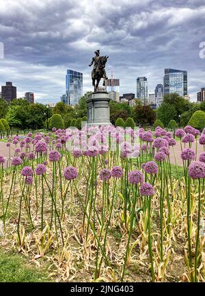 Boston Skyline und das George Washington Monument im Public Garden in Boston, Massachusetts Stockfoto