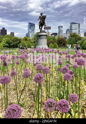 Boston Skyline und das George Washington Monument im Public Garden in Boston, Massachusetts Stockfoto