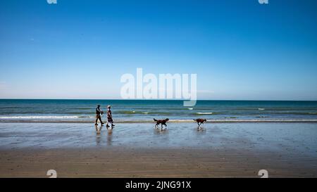 Ein Paar geht zwei rote Setter-Hunde entlang der Küste am East Wittering Beach, West Sussex, Großbritannien. Stockfoto