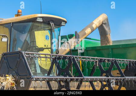 Galley Head, West Cork, Irland. 11. August 2022. Die Gerste der Clonakilty Distillery wird unter dem Blick des Galley Head Lighthouse, West Cork, geerntet. John Hayes Agri verbrachte den Tag mit der Ernte der Gerste mit den Vintage New Holland Combine Harvesters. Die Gerste wird in Whiskey, Wodka und Gin verwendet. Quelle: AG News/Alamy Live News Stockfoto