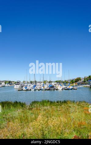 In Benicia Marina in Kalifornien, USA, vertäuten Vergnügungsboote gegen einen Ponton Stockfoto