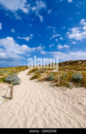 Strand von Llevant in Formentera Stockfoto