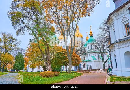 Die mittelalterlichen goldenen Kuppeln der Sophienkathedrale hinter dem leuchtend gelben Herbstpark, Kiew, Ukraine Stockfoto