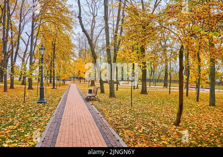 Der goldene Herbstpark des Wolodymyr-Hügels mit grünem Rasen, Holzbänken, alten Straßenlaternen, gelbem Laub, hohen Ahornbäumen und Linden, Kiew, Ukra Stockfoto