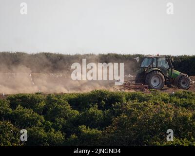 UK Wetter, Crantock, Cornwall, UK. Ein Landwirt hebt große Staubwolken aus seinem ariden Boden, während er den ausgetrocknten Boden in der Hoffnung gräbt, Feldfrüchte säen zu können. Die Umweltbehörde trifft sich am Freitag, um zu entscheiden, ob Dürrebedingungen für den Wasserverbrauch im Südwesten Englands eingeführt werden sollten. 11.. August 2022. Robert Taylor Alamy Live News Stockfoto