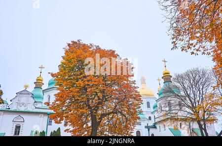 Der leuchtend rote Rosskastanienbaum vor den mittelalterlichen grünen und goldenen Kuppeln der Sophienkathedrale, Kiew, Ukraine Stockfoto