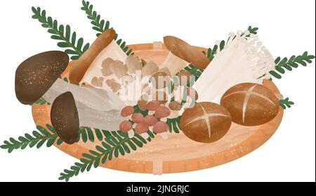 Illustration von Pilzen geerntet durch Pilze sammeln, der Geschmack des Herbstes Vektor-Illustration Stock Vektor