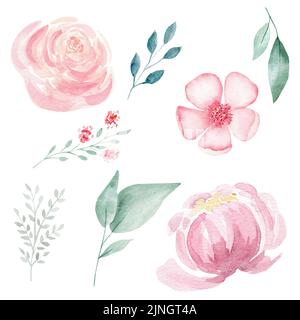 Set von handbemalten rosa Aquarell-Blumen und grünen Blättern. Stockfoto
