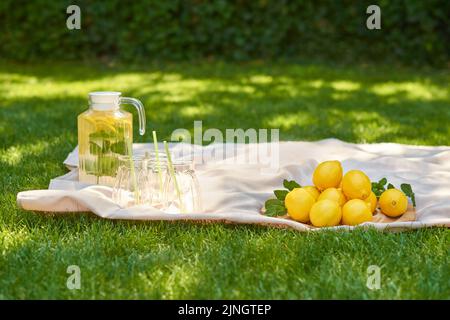 Sommerpicknick auf grünem Gras mit Glaskrug mit kühler Limonade, drei Gläsern mit Trinkhalmen und ganzen Zitronen auf Holztablett im Garten Stockfoto