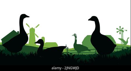 Gänse grasen. Weide auf Wiese. Silhouette der Landschaft. In der Nähe von Bauerngebäuden. Landwirtschaftlicher Vogel. Ländliche Landschaft. Objekt auf weißem Backgro isoliert Stock Vektor