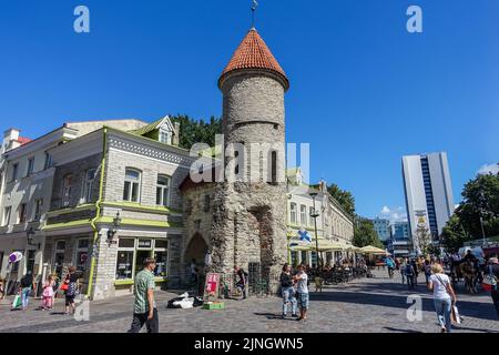 Tallinn, Estland 31. Juli 2022 Allgemeine Ansicht der Altstadtstraßen ist zu sehen. Quelle: Vadim Pacajev/Alamy Live News Stockfoto