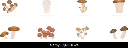Herbstlicher Geschmack, einfache Illustration von Pilzen: Matsutake, Maitake, Shiitake und andere Set Vector Illustration Stock Vektor