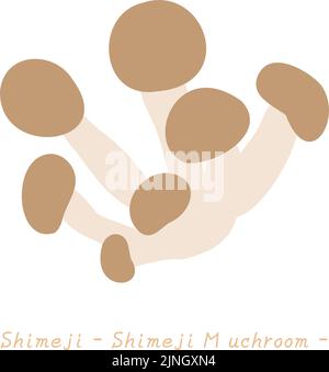 Herbstgeschmack, einfache Illustration von Pilzen Buche Shimeji Vektor-Illustration Stock Vektor